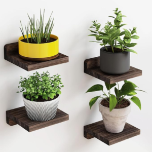 Fixwal Small Floating Shelves Decor